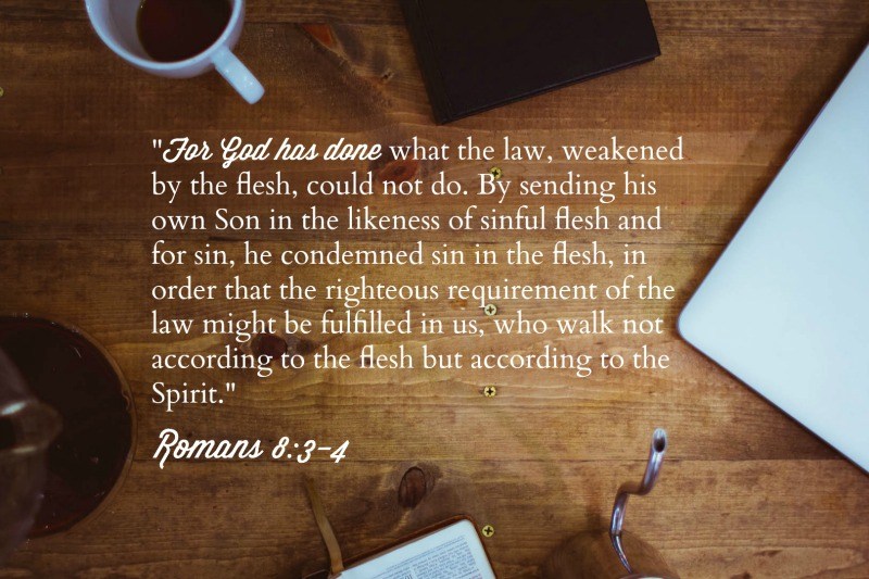 pdf-audio-the-law-of-the-spirit-of-life-in-christ-jesus-pt-3-romans
